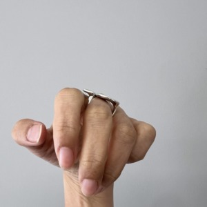 MONICA CASTIGLIONI A-SPATUSCE’-05 / Silver